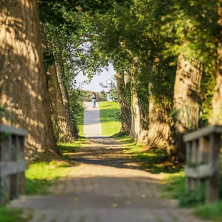 Boddenflair In Der Seefahrtschule * ヴストロ