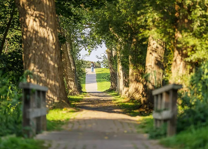 Boddenflair In Der Seefahrtschule * Wustrow (Fischland)